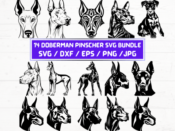 14 Doberman Pinscher Vector Files for Creative Projects