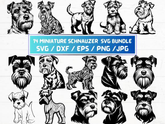 14 Miniature Schnauzer SVG File