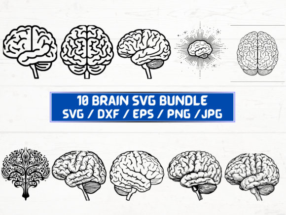 Brain Laser Cut: A Digital Asset for Precision and Creativity