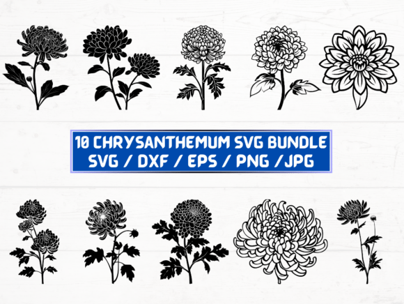 Chrysanthemum Flower SVG File: A Versatile Digital Asset for Creative and Professional Workflows