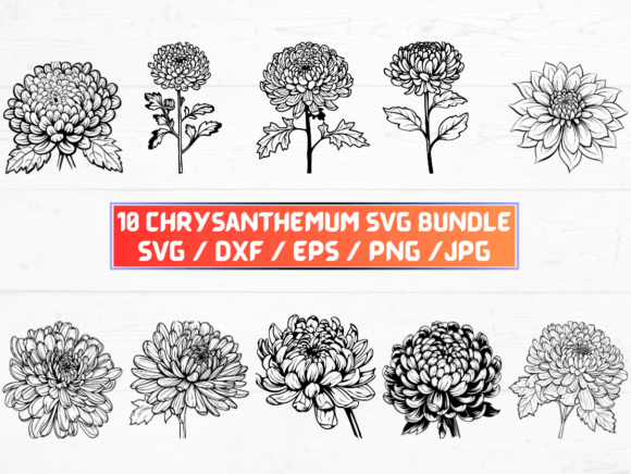 Chrysanthemum SVG, DXF, EPS, JPG, PNG Files