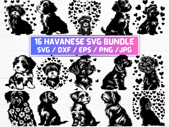 Havanese Svg, DXF, EPS, JPG, PNG Bundle: A Versatile Digital Asset for Designers and Creators