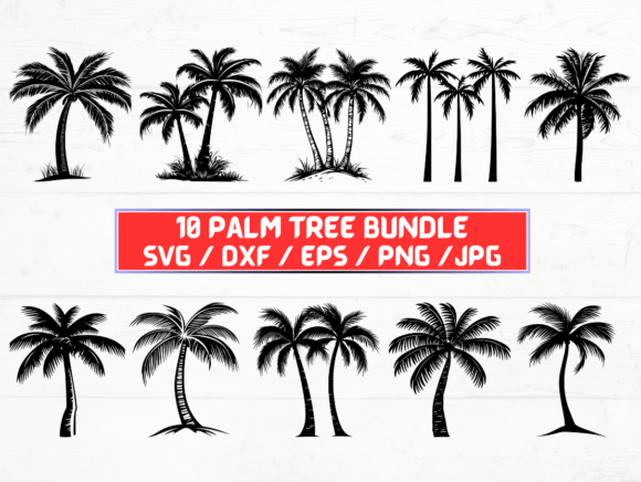 Palm Tree SVG Bundle for Designers and Creators