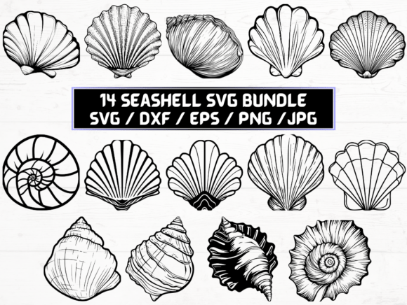 Seashell SVG: A Versatile Digital Asset for Creative and Professional Use